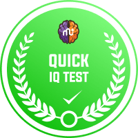 Quick IQ Test